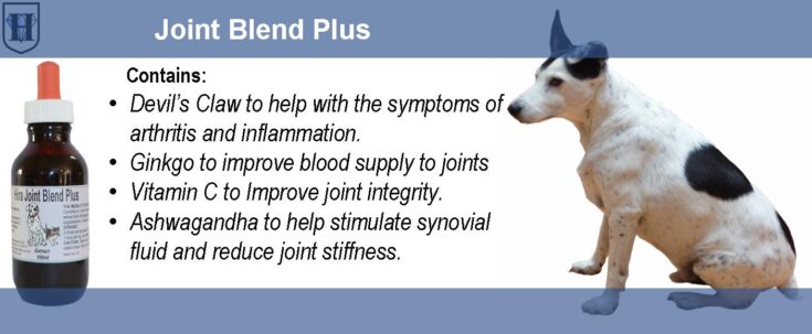 D-pet-product-Nivo-Joint-Blend-Plus A slider of herbal blend which describes the effects and uses as well as the pictures of a dog and a bottle of extract