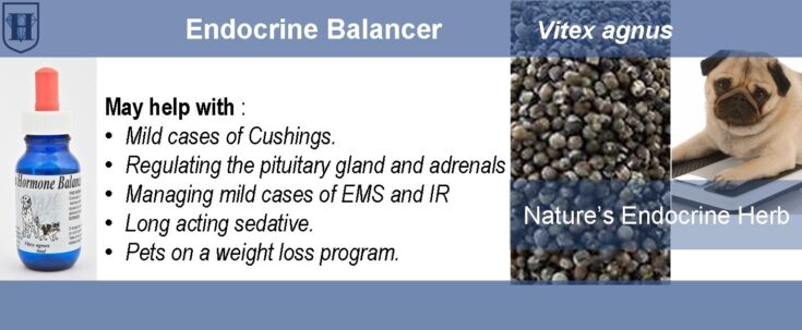 D-pet-product-Nivo-Vitex A slider shows an image of a dog, vitex agnus berries and a bottle of vitex agnus extract