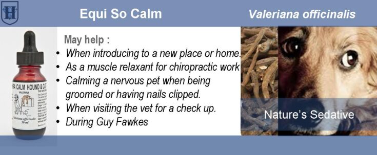 D-pet-product-Nivo-valerian A slider describes the effect and uses of Hypericum perforatum flowers and it also shows two cats fighting, St. John's Wort flowers ad a bottle of extract