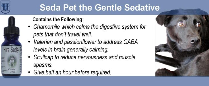 D-pet-product-NivoSeda-pet A slider which describes the use and effects of herbal blend and it also shows a picture of a dog and a bottle of extract
