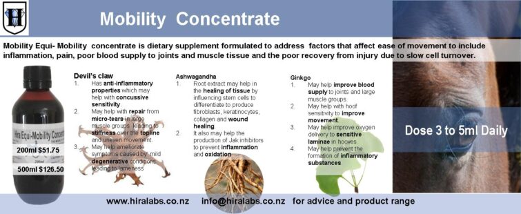 A herbal blend for mobility and joint stiffness