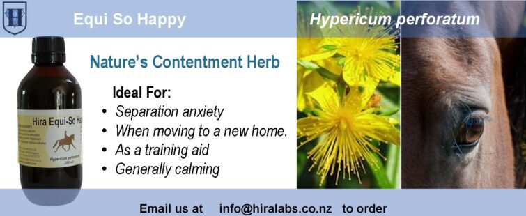 A descriptive slider which explains the use for and mental clarity